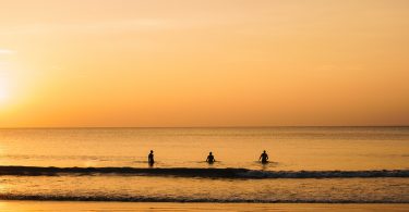hidden treasure of the sea featured